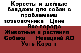 Корсеты и шейные бандажи для собак с проблемами позвоночника › Цена ­ 2 500 - Все города Животные и растения » Собаки   . Ненецкий АО,Усть-Кара п.